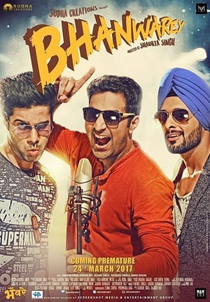 Bhanwarey 2017 Hindi Movie [850MB]