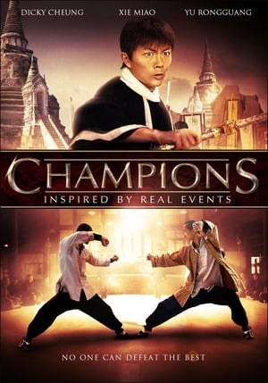 Champions (2008) Hindi Dual Audio [1.1GB]