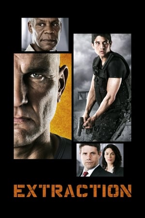 Extraction 2013 Hindi Dual Audio [1.4GB]