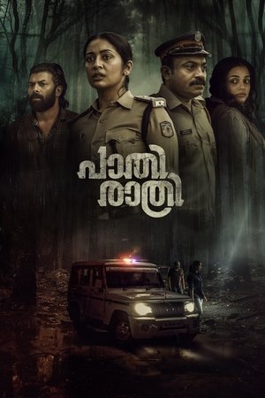 Paathirathri (2025) Hindi (MULTI AUDIO) – – 1080p