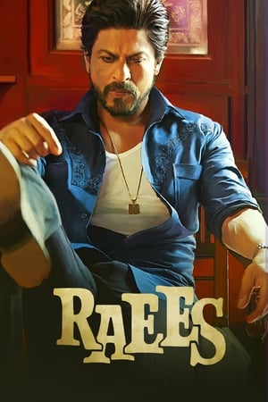 Raees 2017 200mb hindi movie